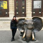 IMG_20171106_204108_432