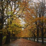 IMG_20171107_043500_193