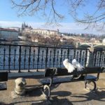 83795797_2694983047282007_7188619314595889152_n